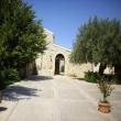 Agriturismo Nacalino